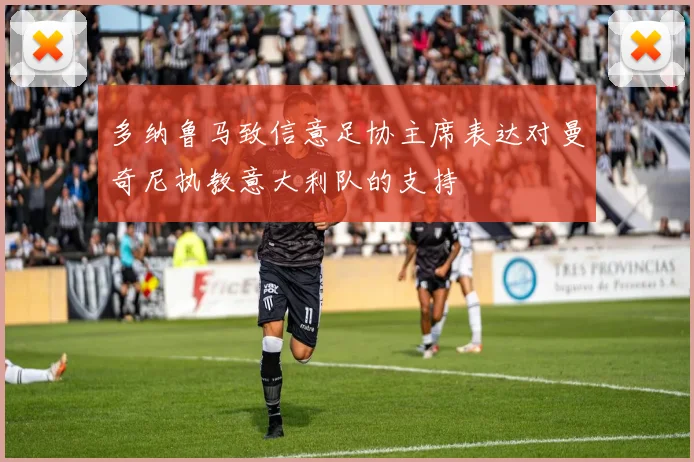 多纳鲁马致信意足协主席表达对曼奇尼执教意大利队的支持