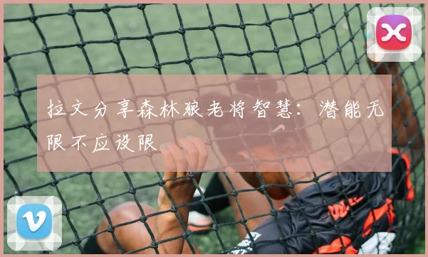 拉文分享森林狼老将智慧：潜能无限不应设限